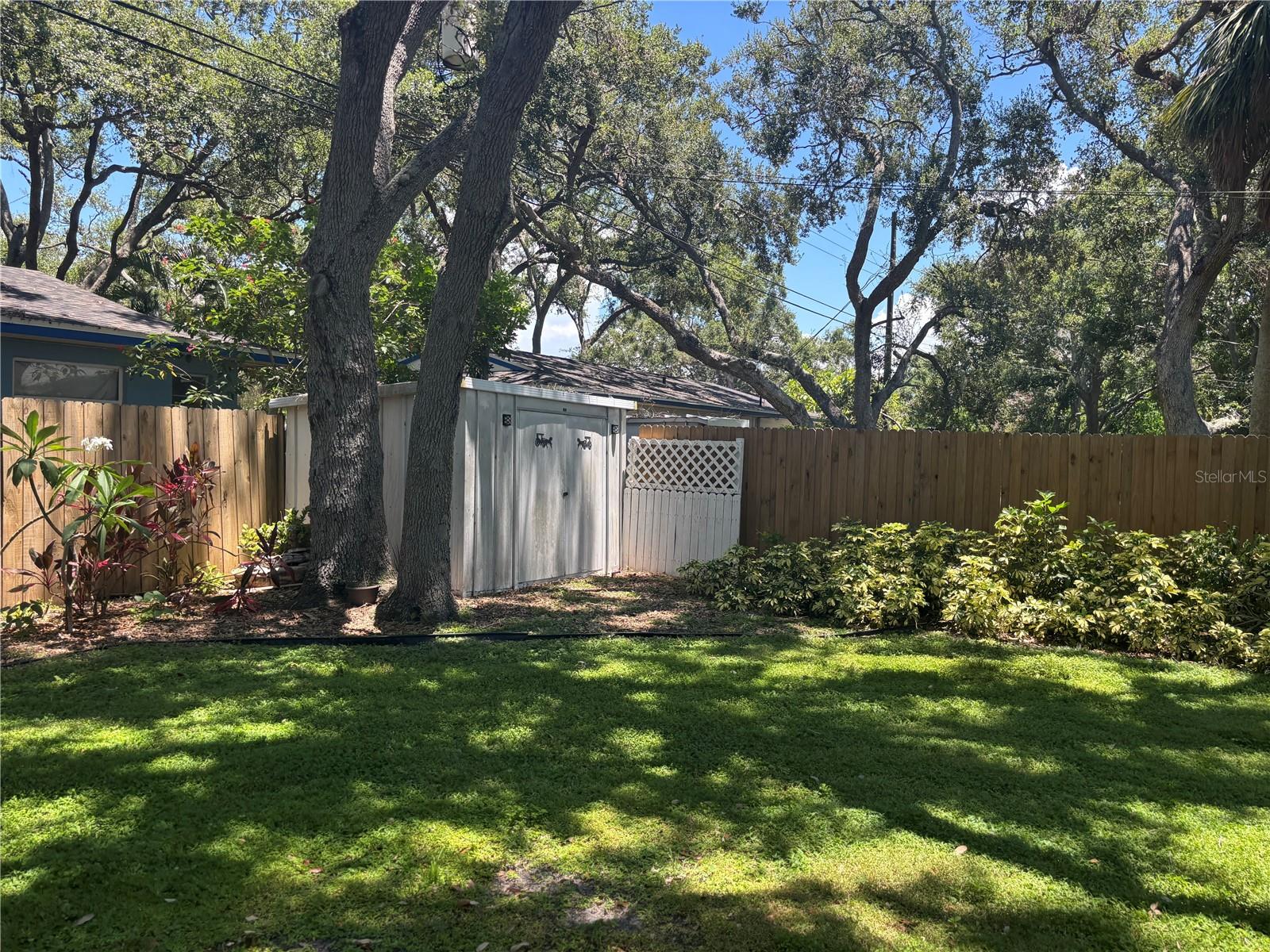 Huge back yard