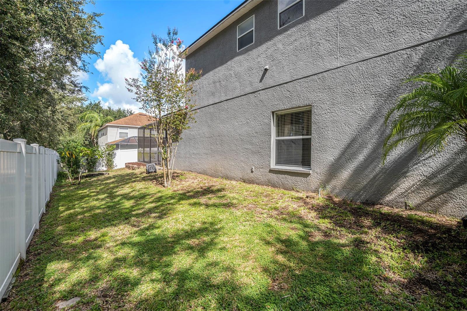 Large sideyard