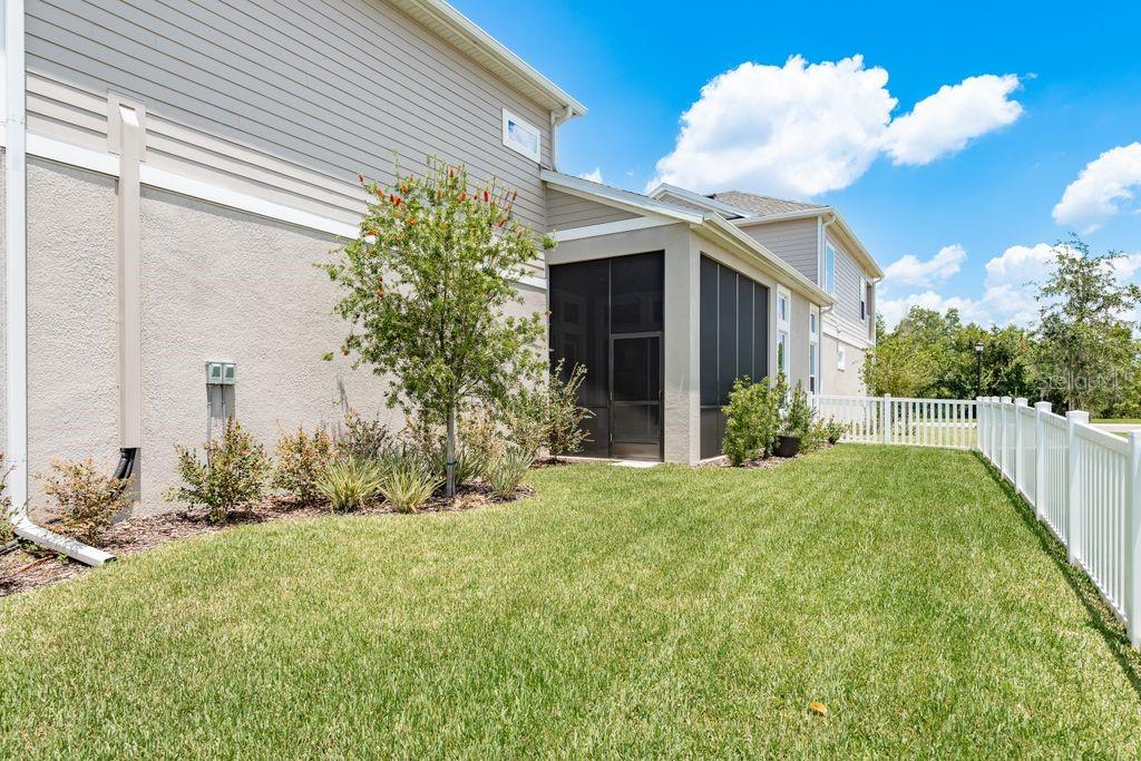 Fenced Yard