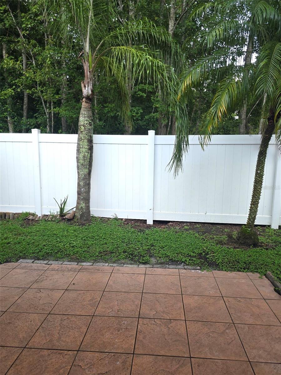 BACKYARD W PATIO