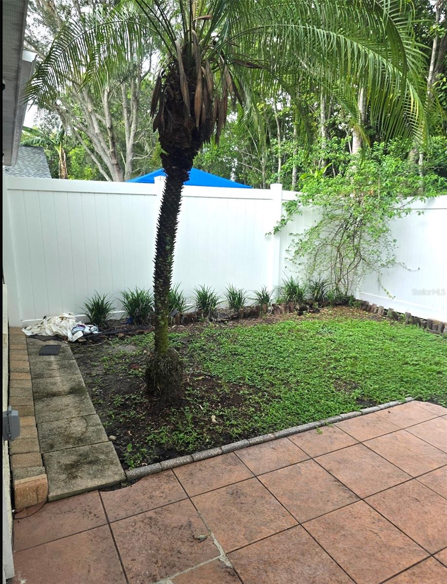 BACKYARD W PATIO