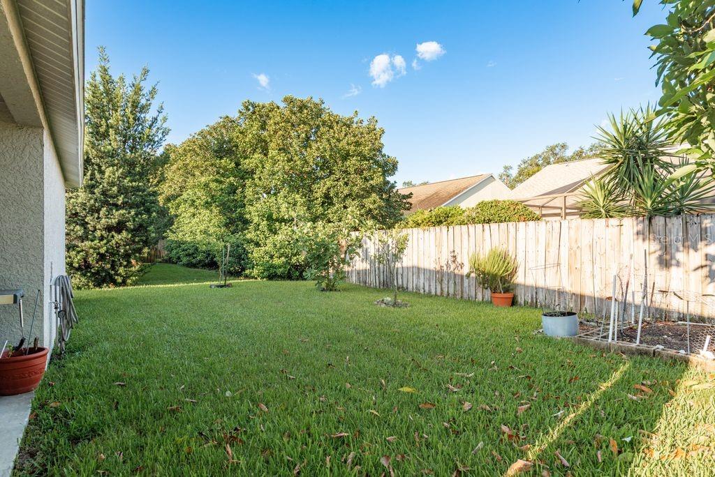 Rear Yard