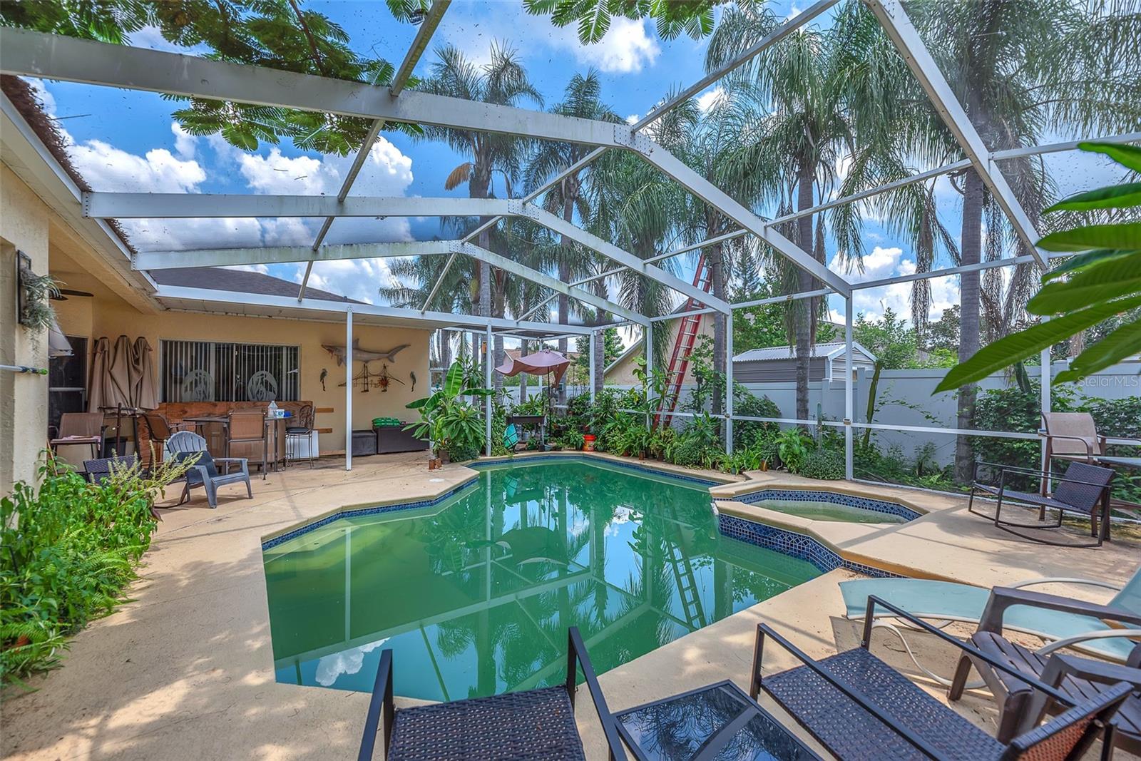 Screened pool and lanai area
