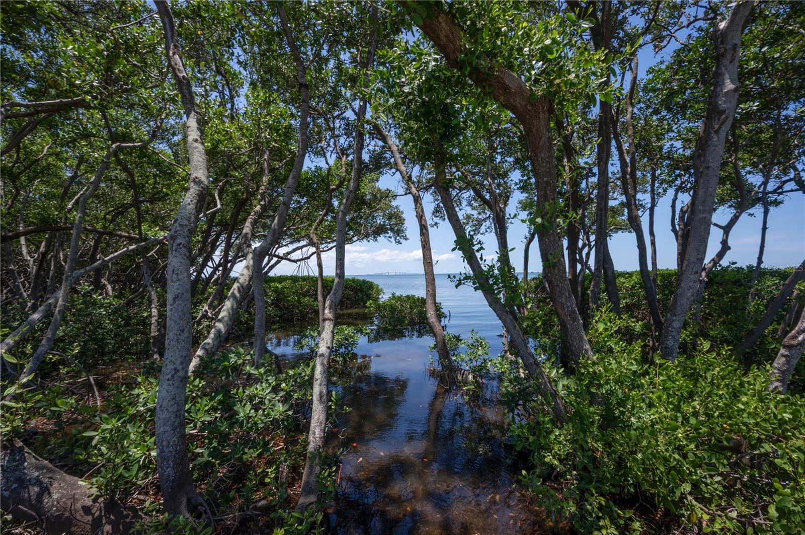 Waterfront nature everyday