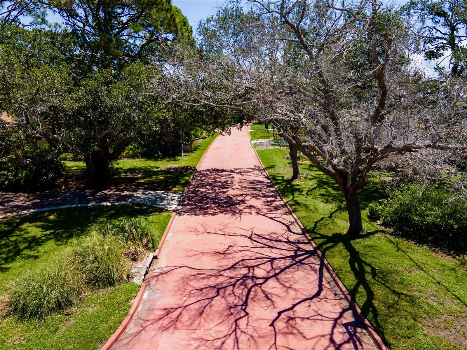 Canopied, winding Pink Streets