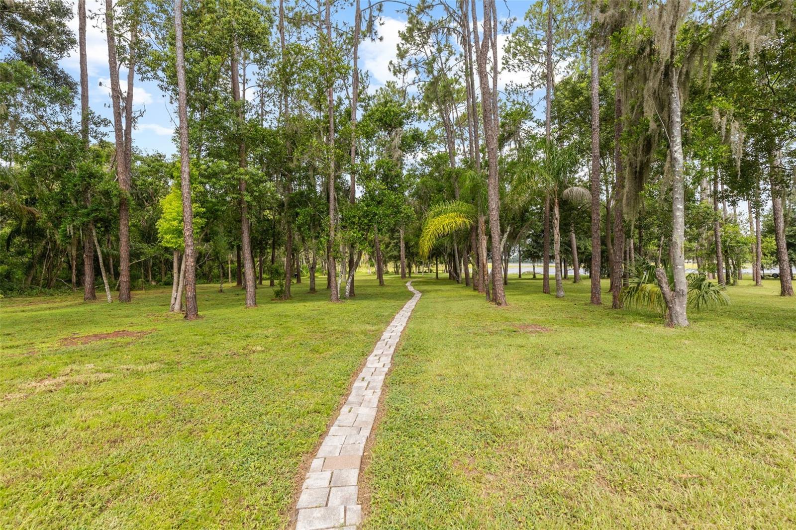 Walkway to lake