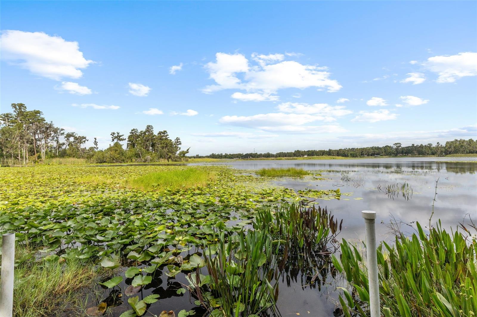 Direct lake access from backyard