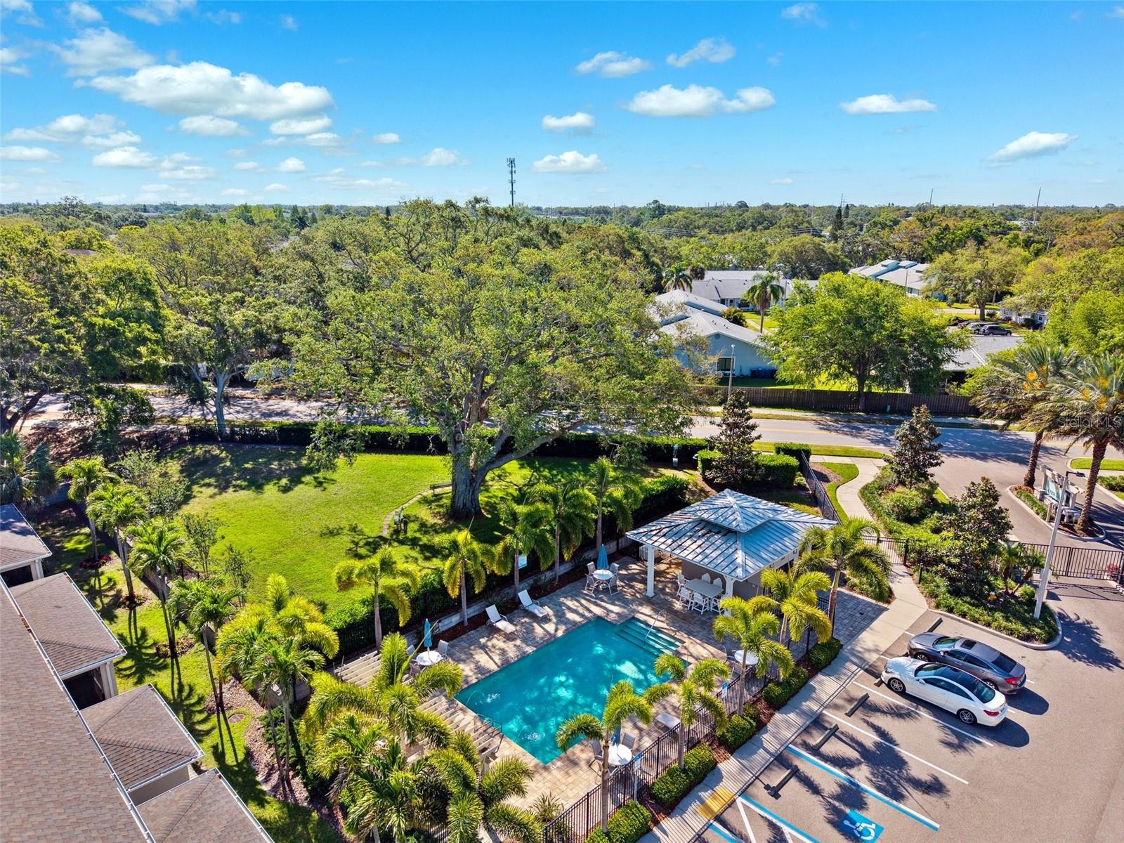Pool and park