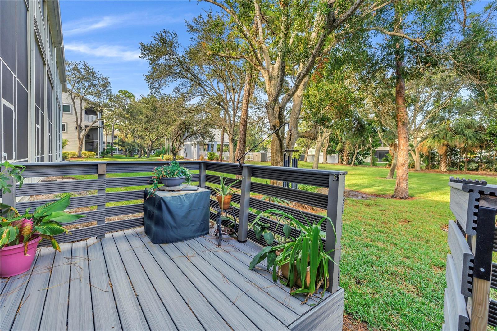 Unique patio, trex decking