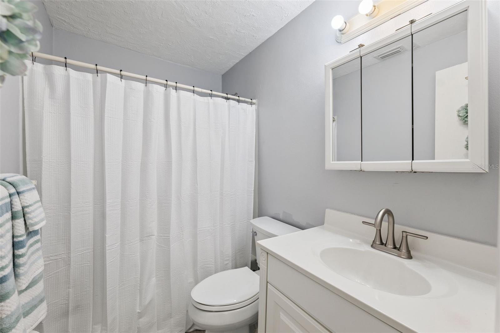 Guest Bath