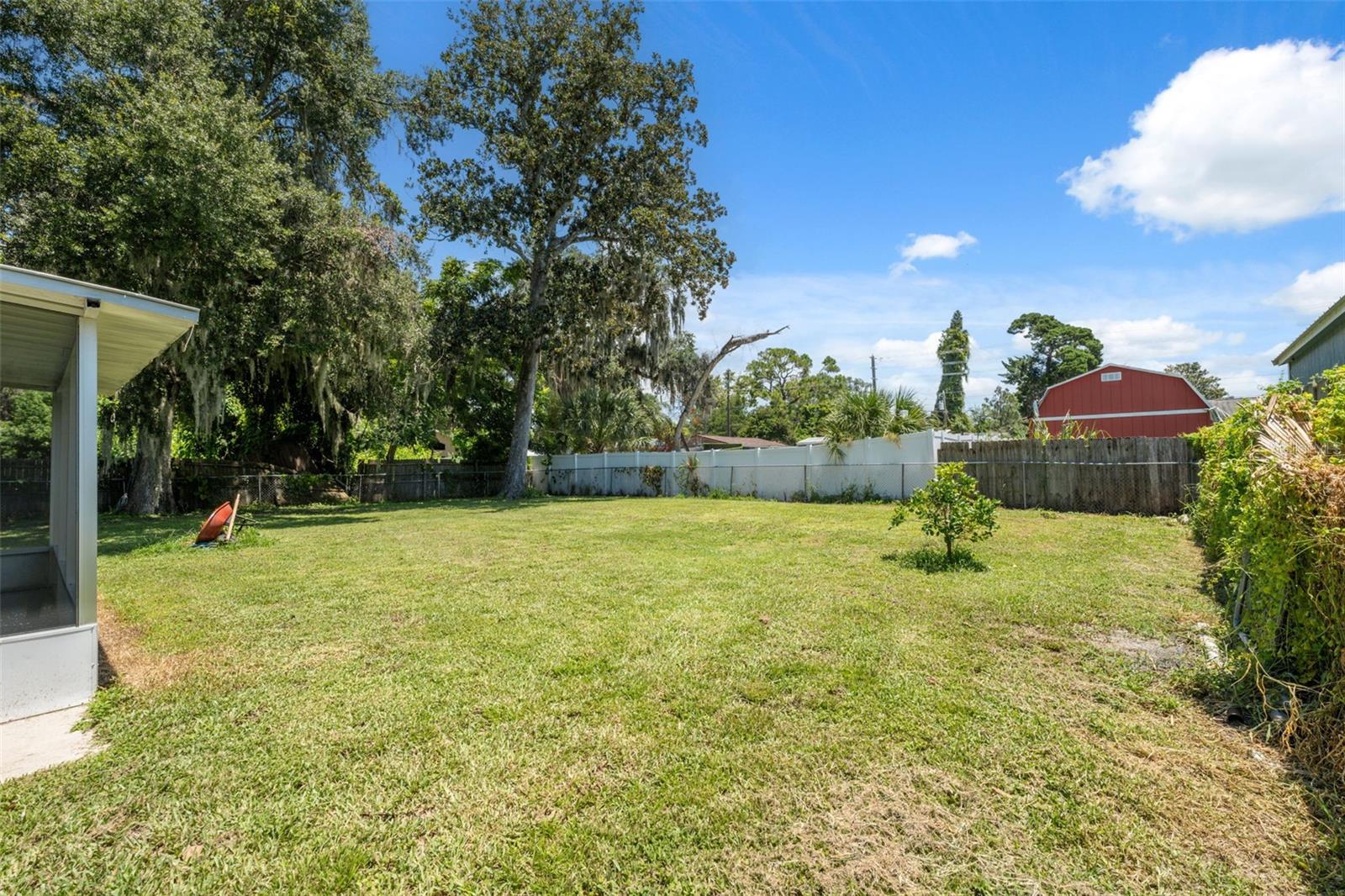 Back yard