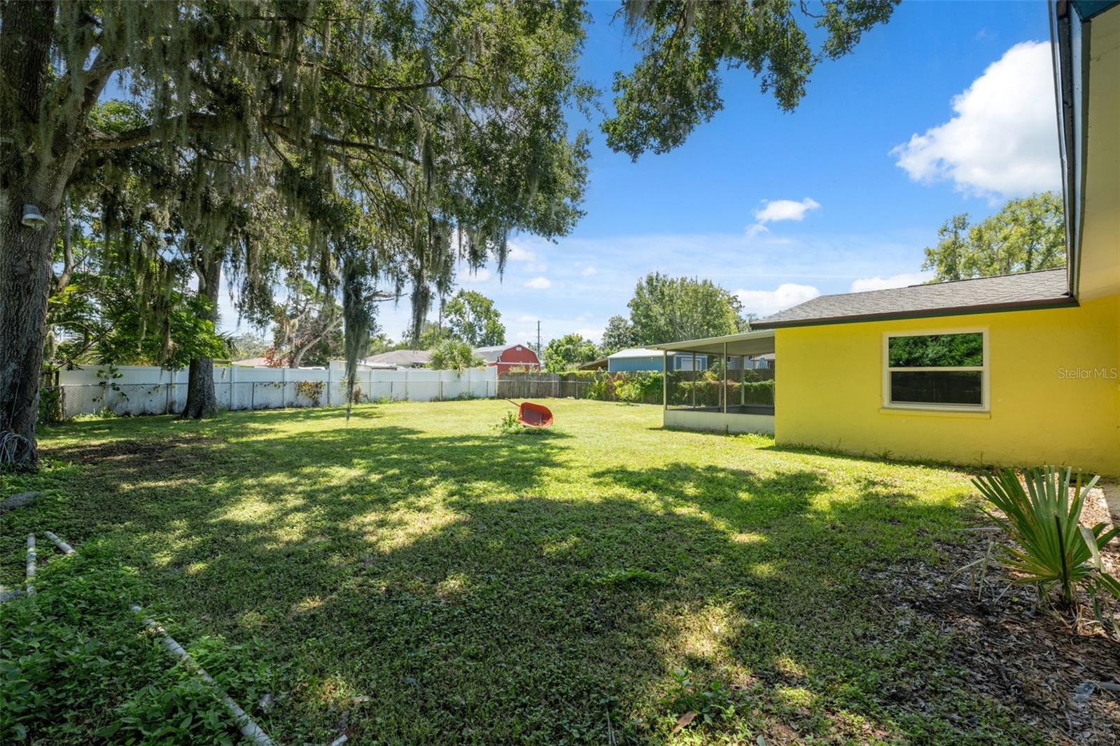 Back yard