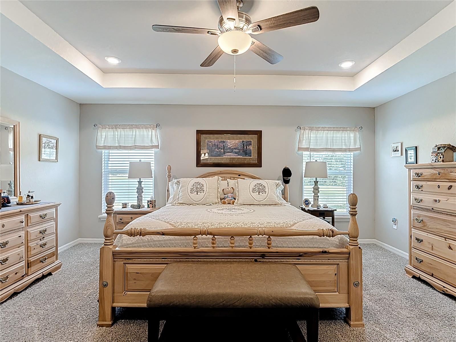 Tray ceilings in primary bedroom