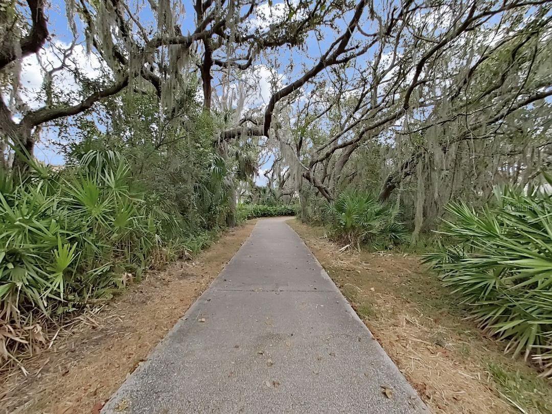 Beautiful Walking Trails