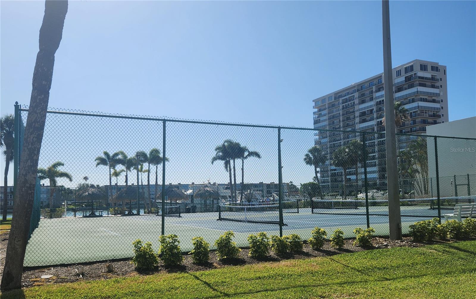 Pickleball Courts