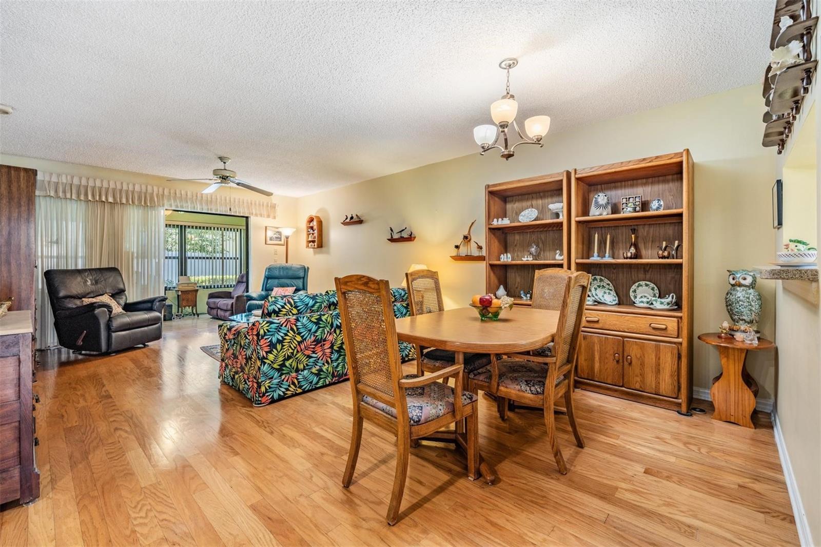 Dining room/Living room combination
