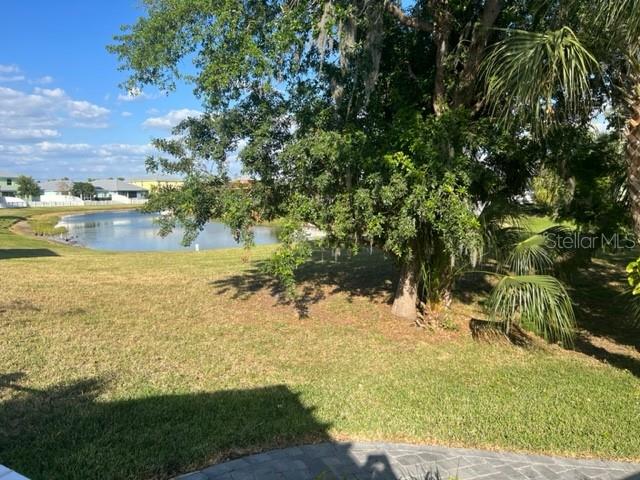 View of back pond