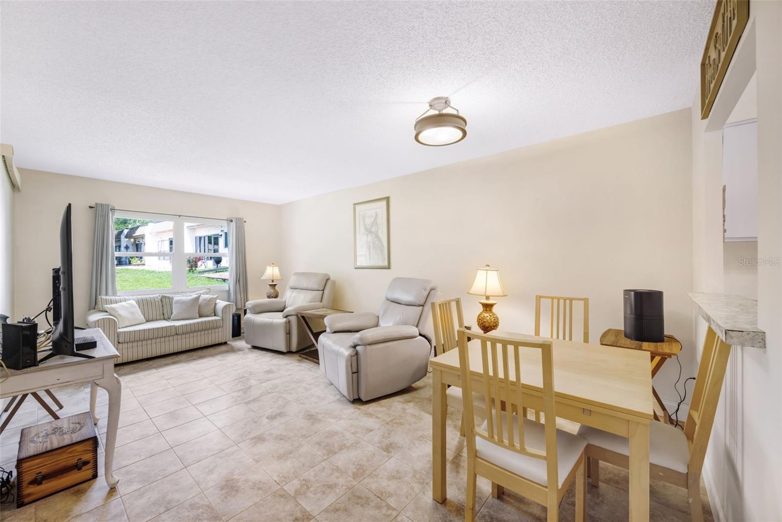 Living Room and Dining Room Combination