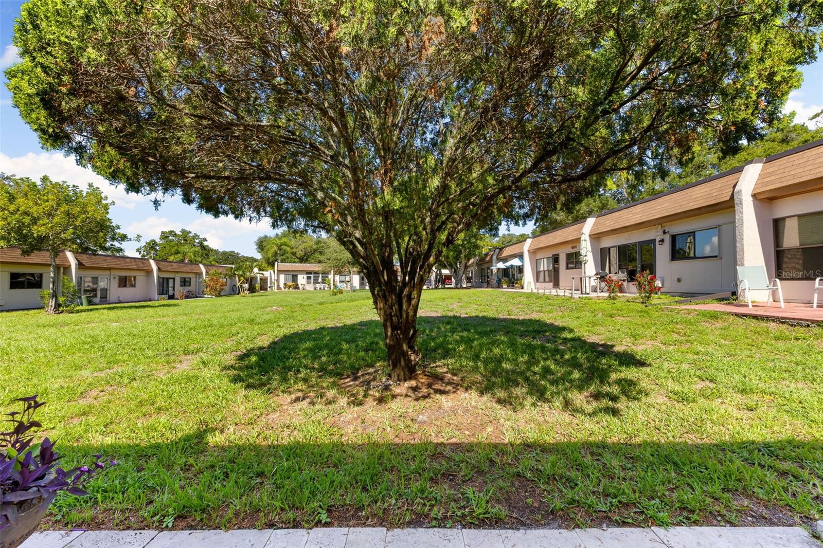 Looking at the Back The Condo From The Large Yard Area