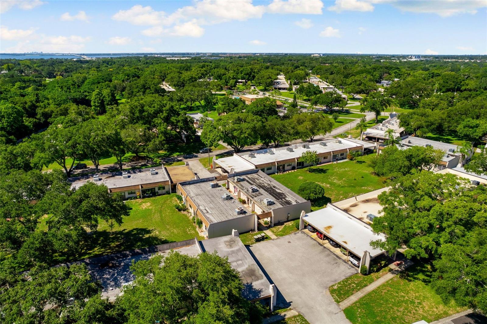 Drone View