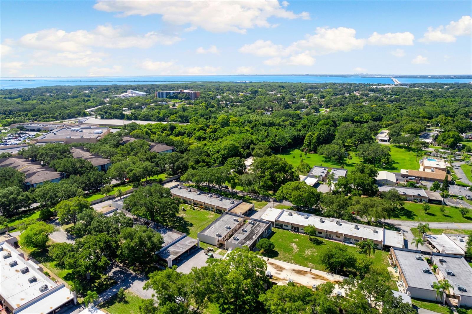 Drone View