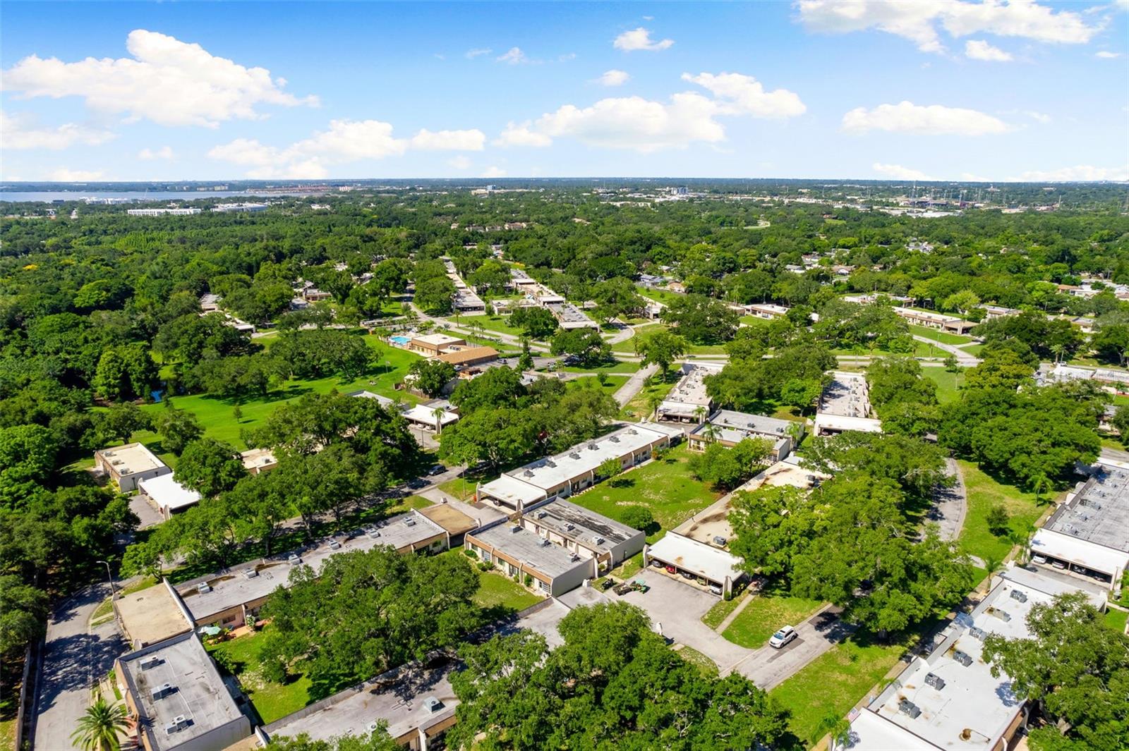 Drone View