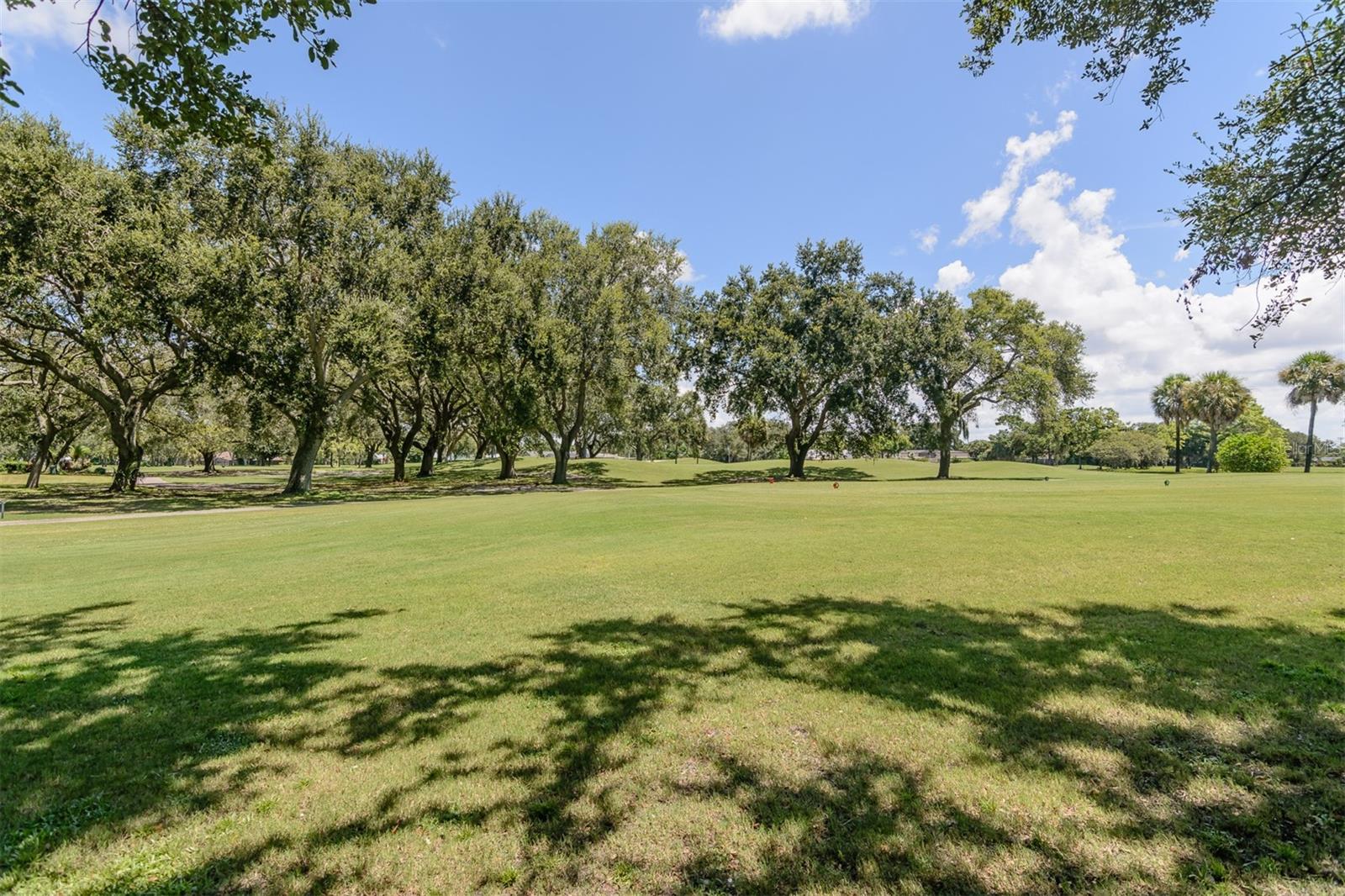 Golf Course just off Ladies tees,