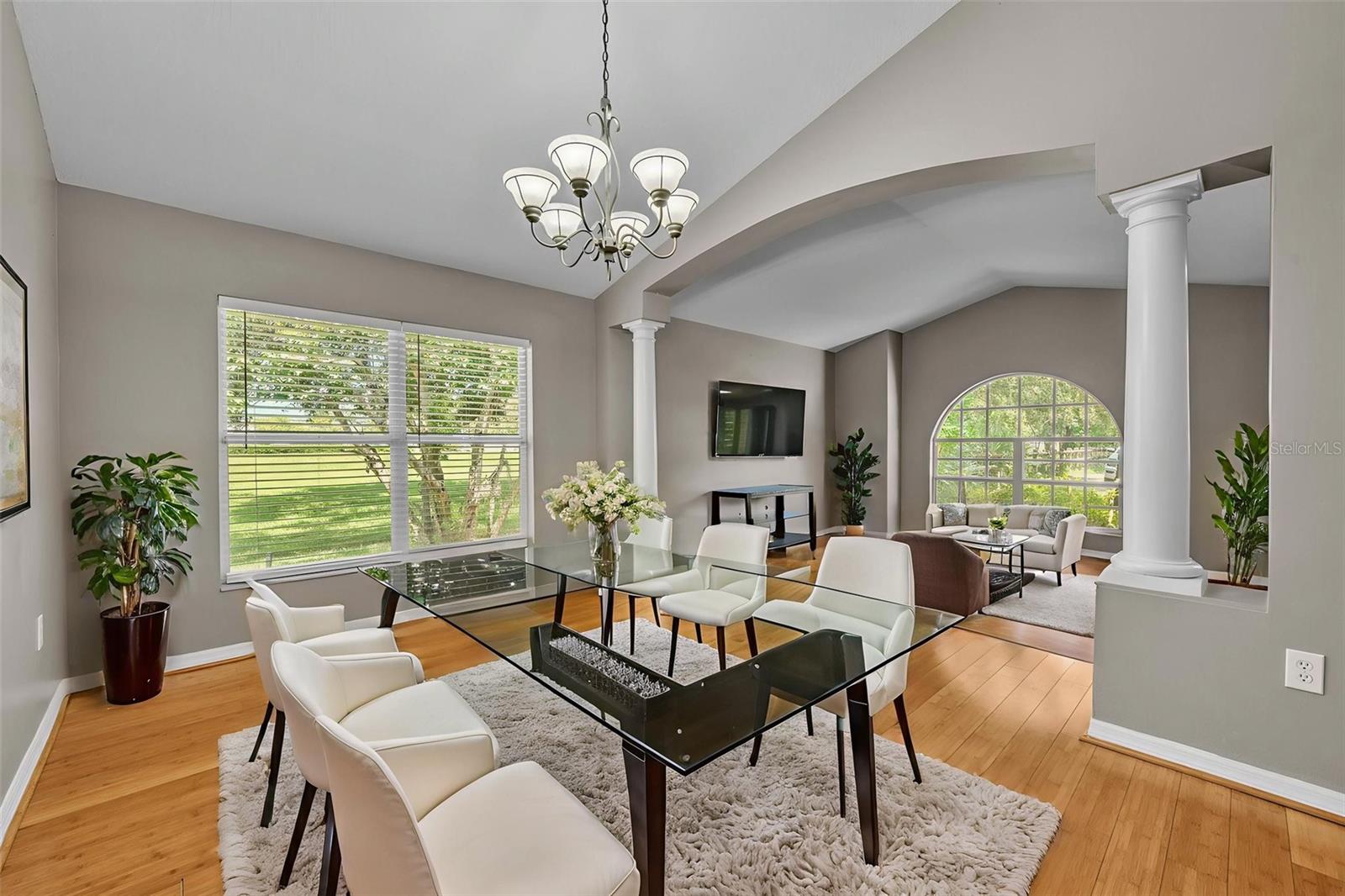 Formal Dining / Living Room