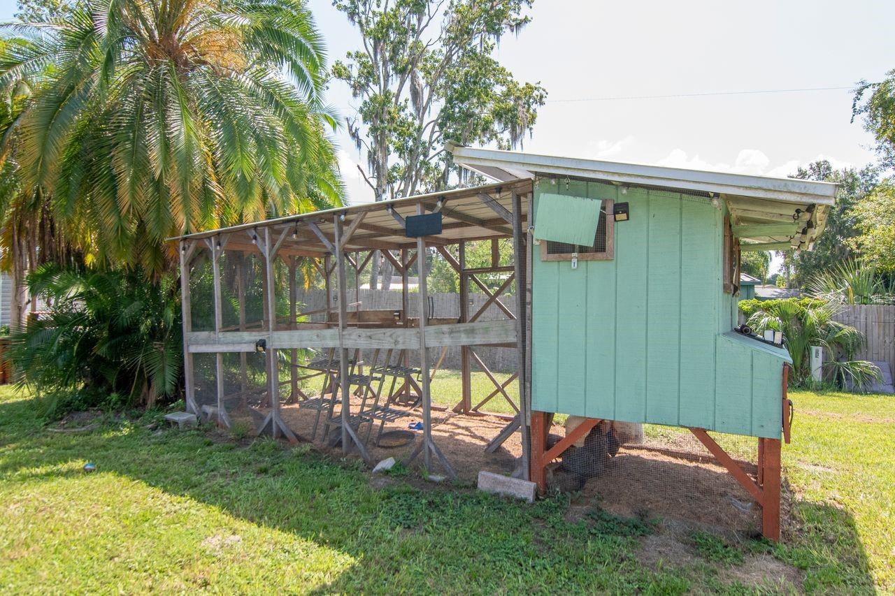 Chicken Coop and Chickens