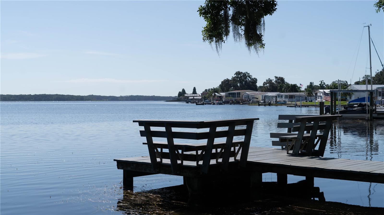 Beautiful Lake Tarpon