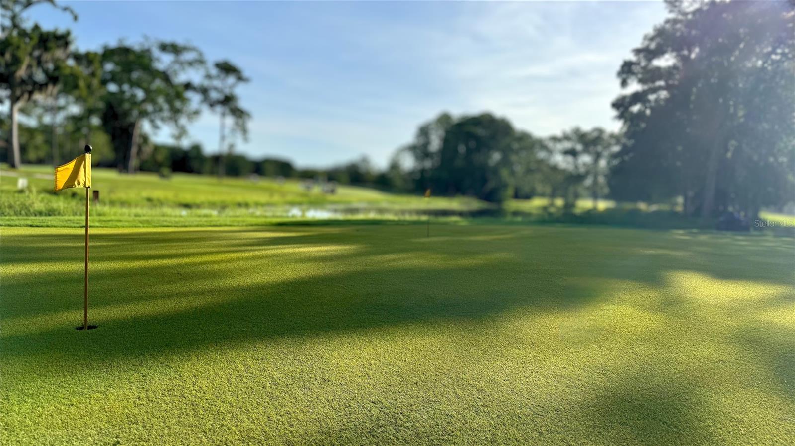 Summertree Golf Putting Green