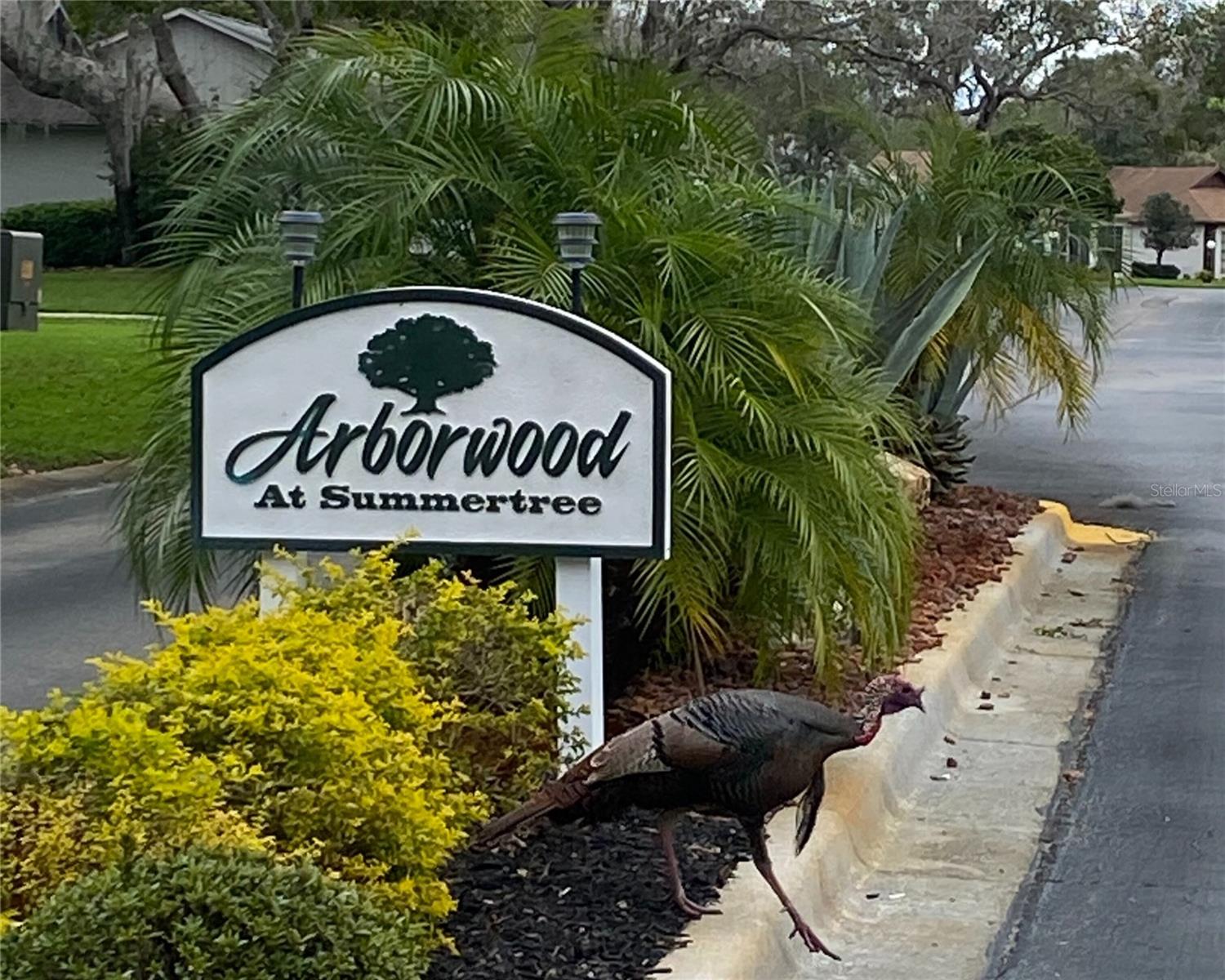Arborwood Turkey