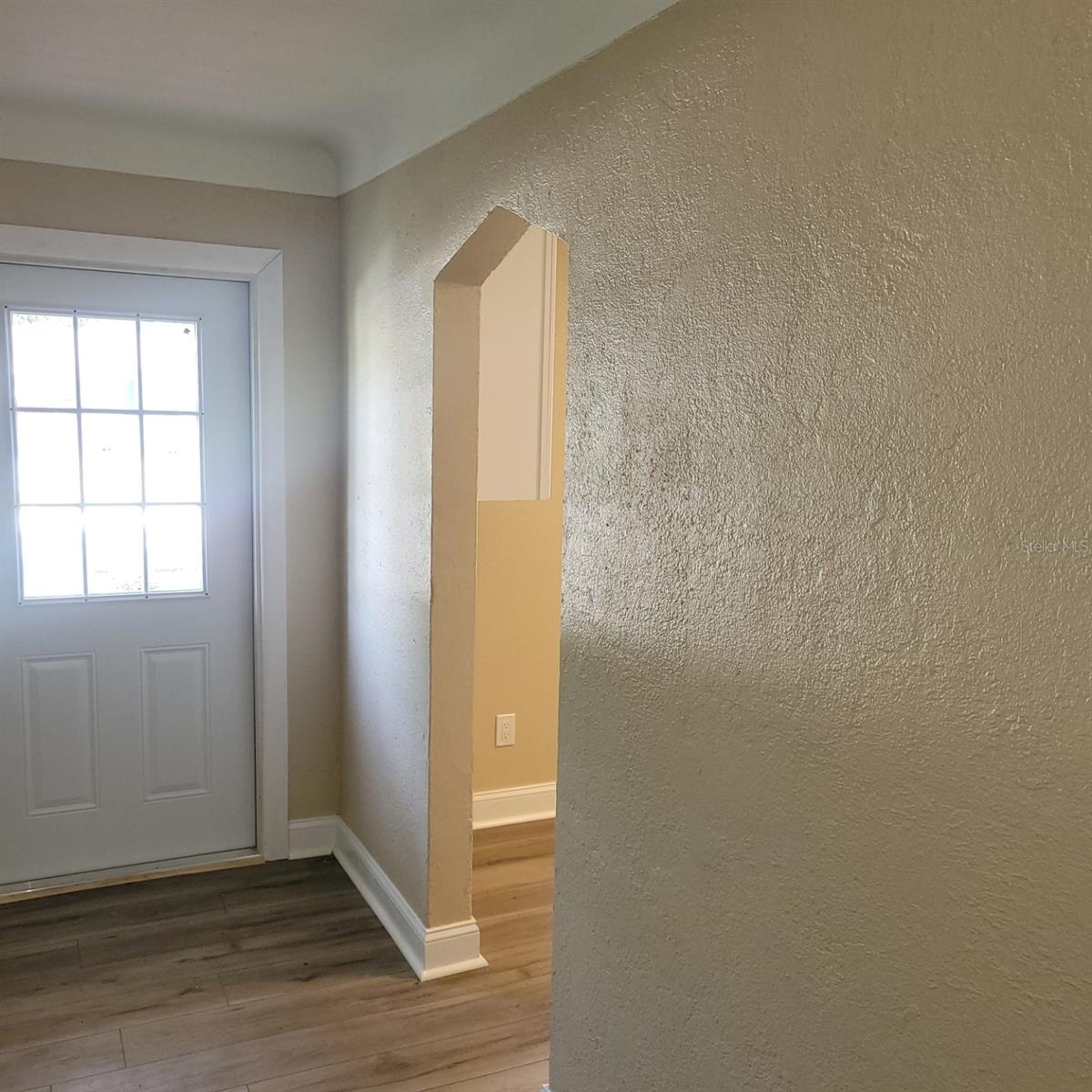 Living Room Door