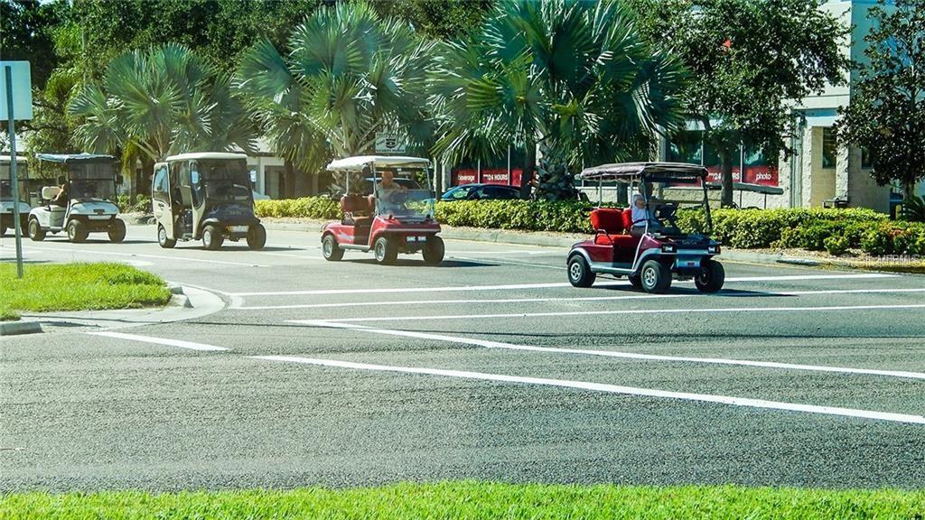 Golf Cart Community