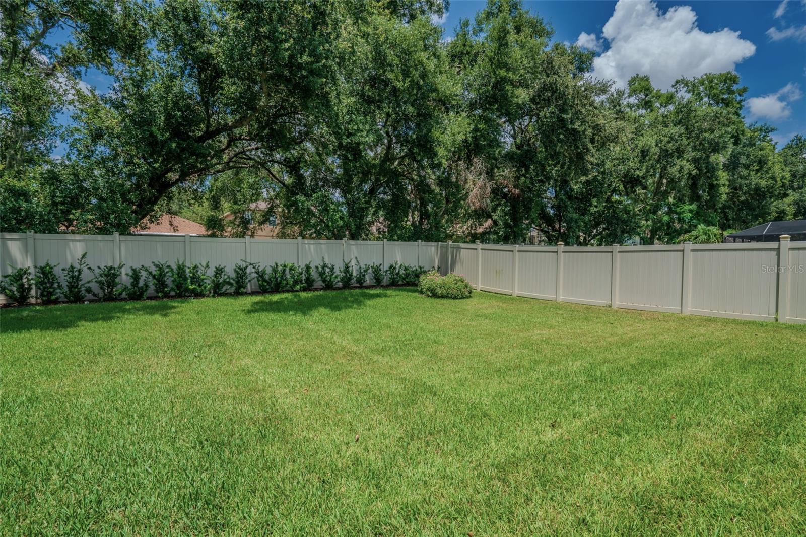 Backyard