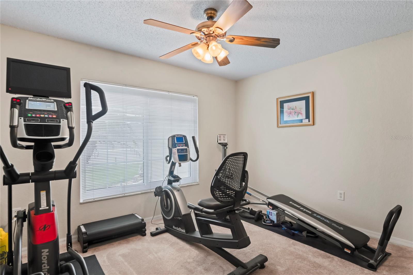 In law living room/flex