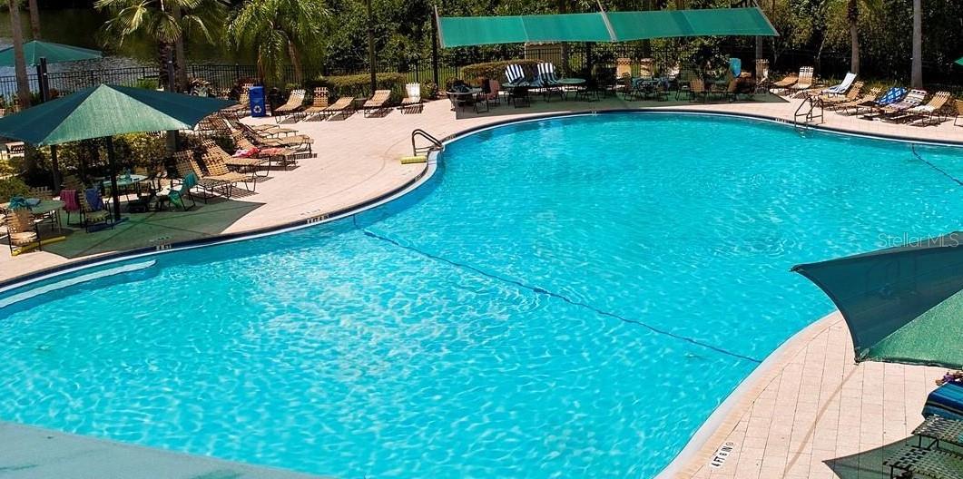 SOUTH CLUB POOL