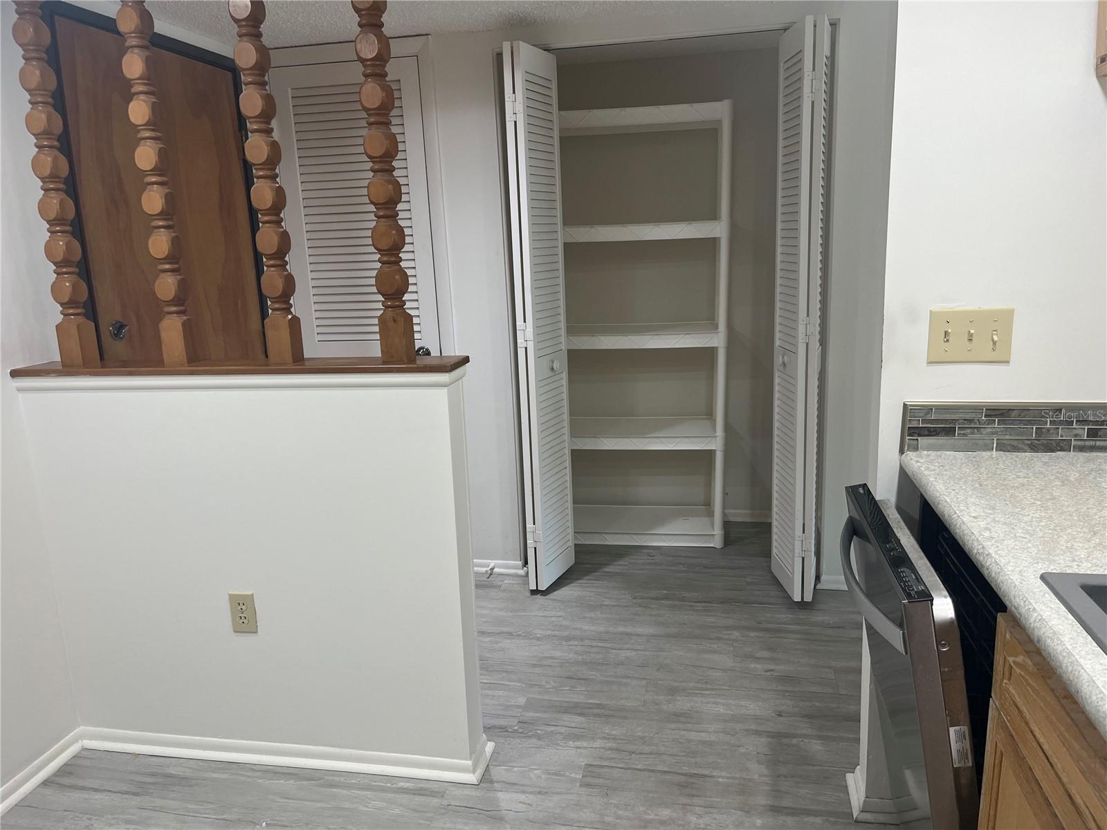 View from kitchen looking into large closet/pantry