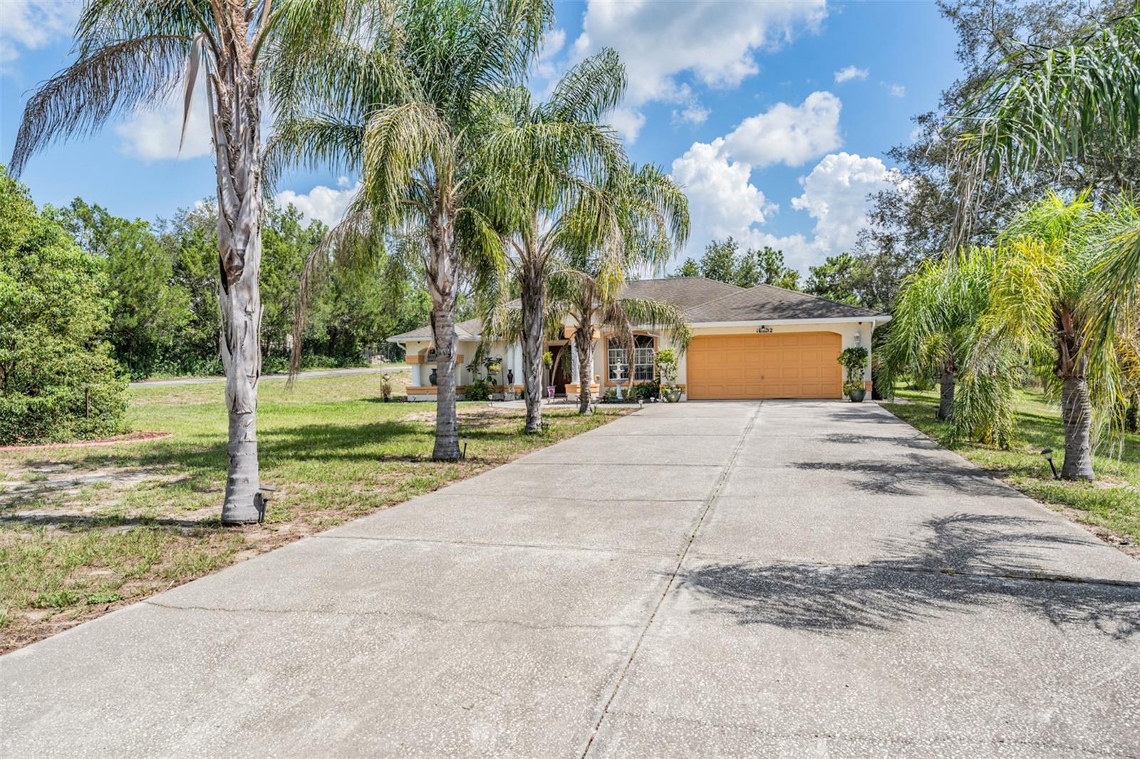 Driveway