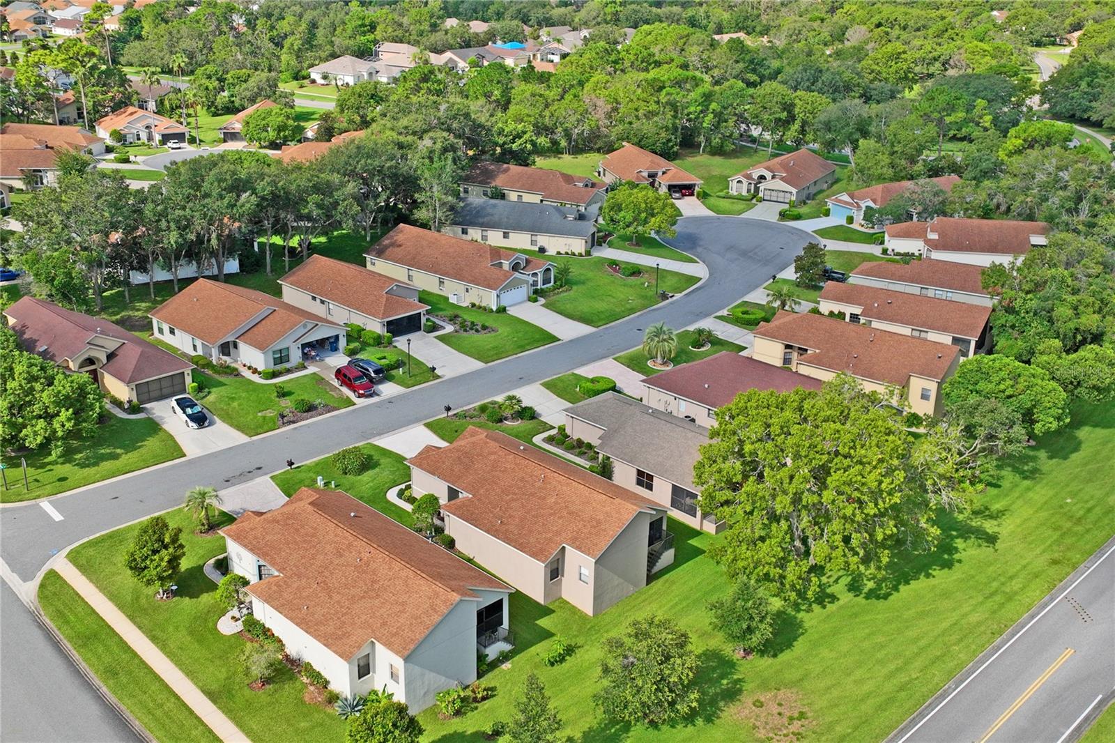 Aerial Neighborhood