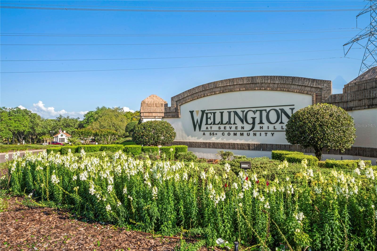 Welcome to The Wellington