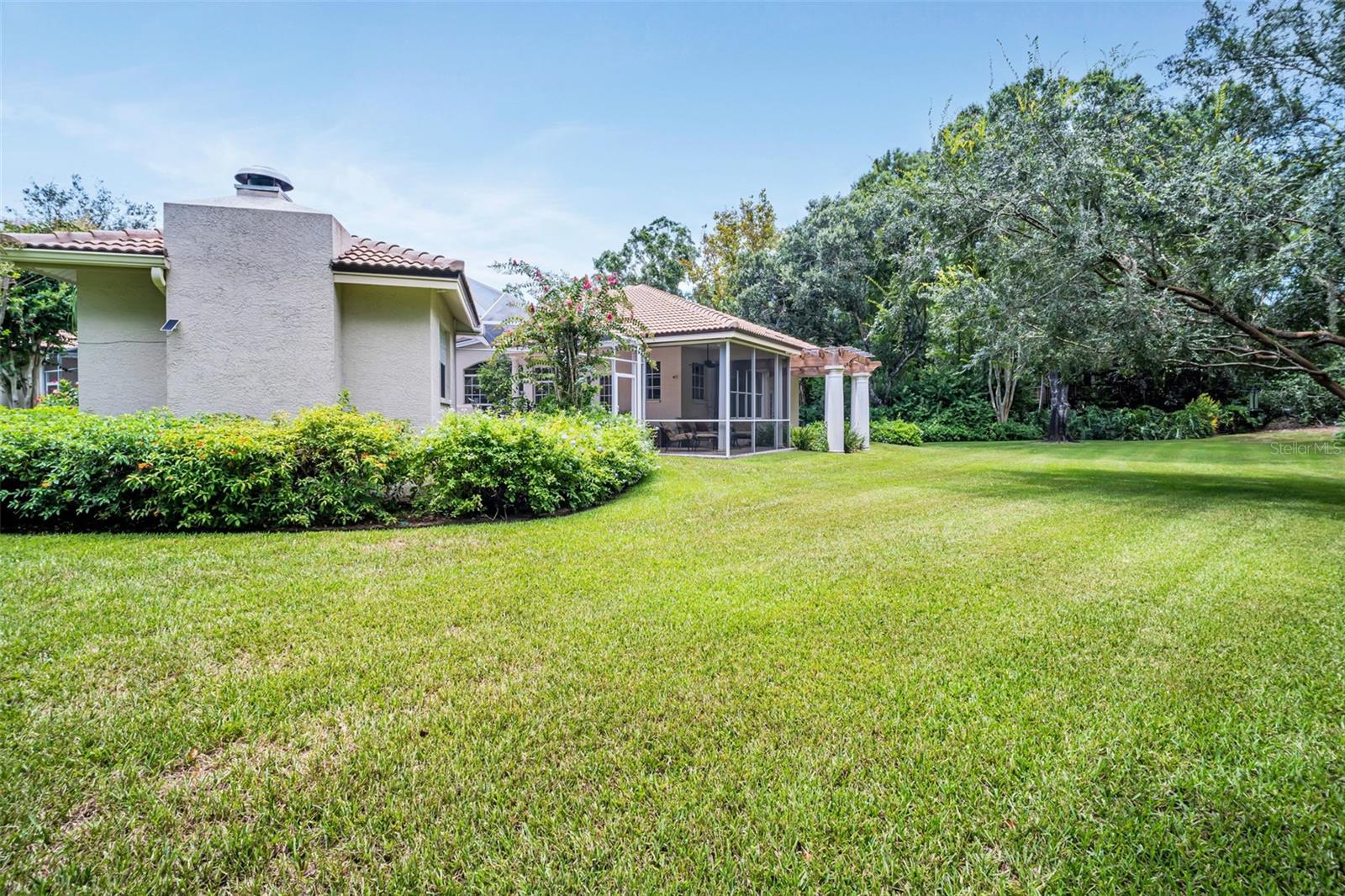 Backyard 3/4 acre lot
