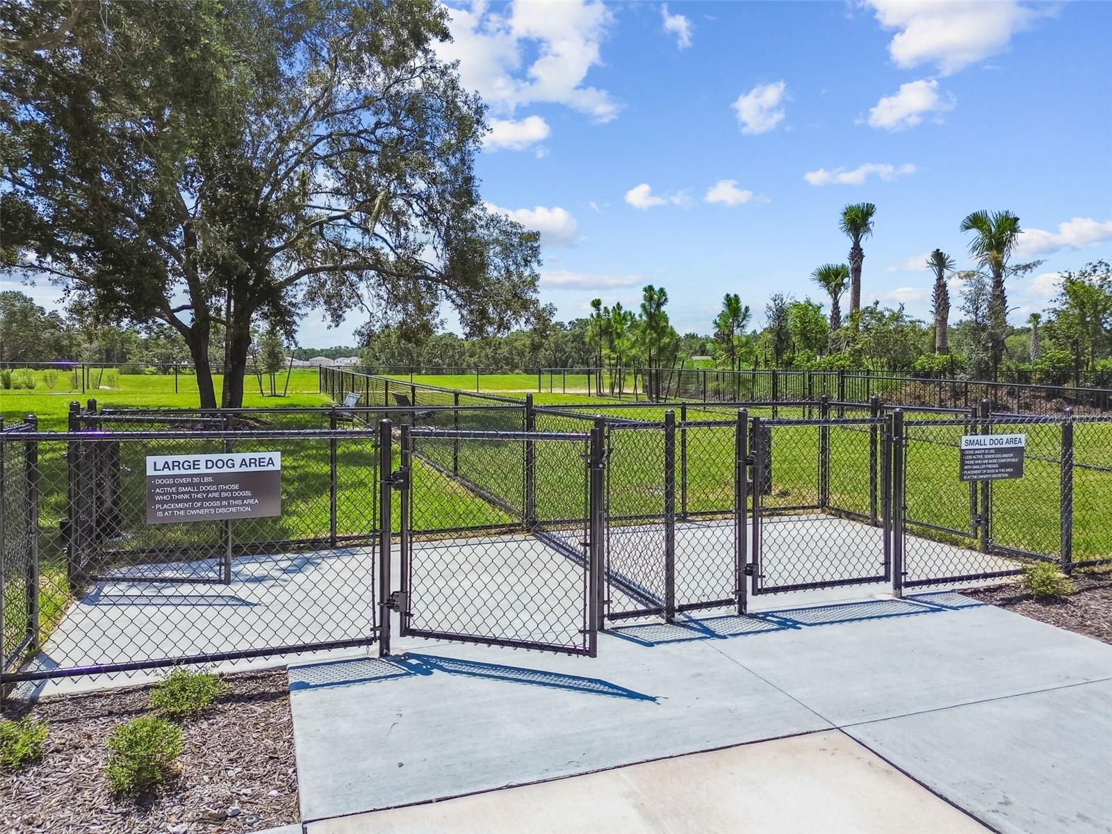 Community Dog Park