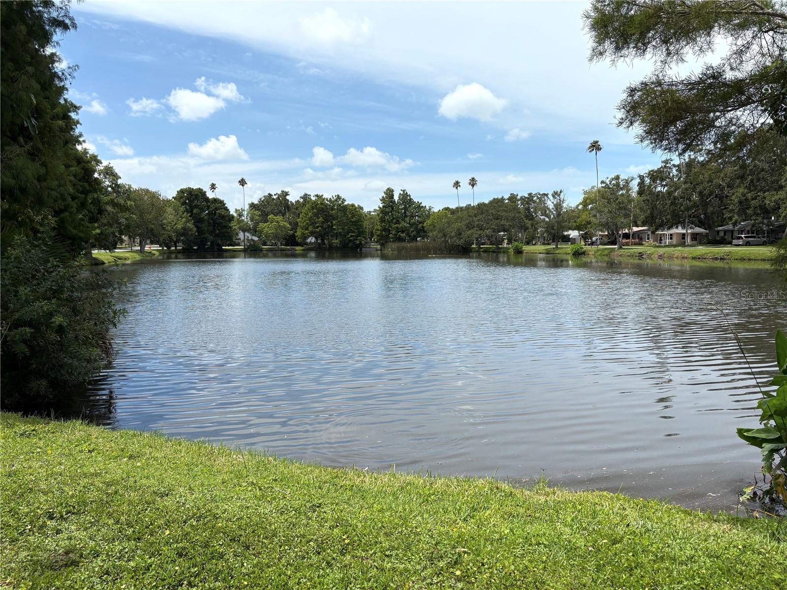 Neighborhood Pond