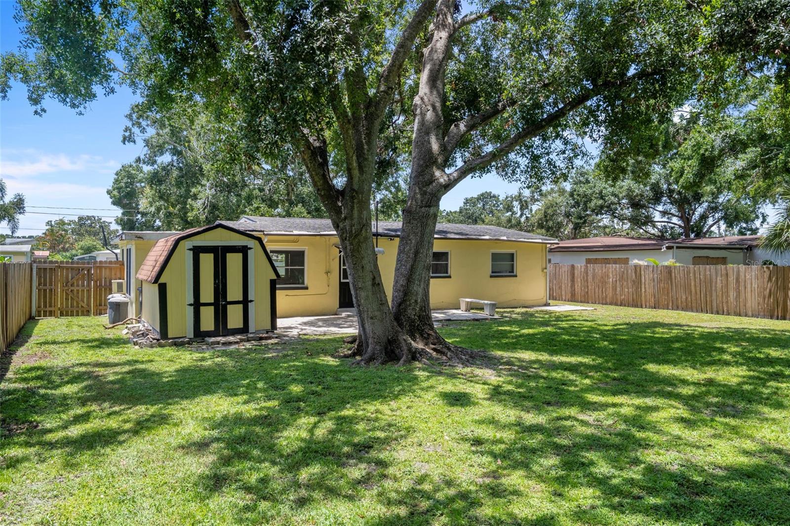 Back Yard