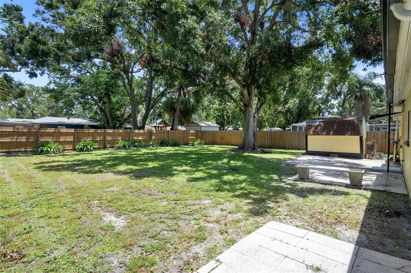 Back Yard