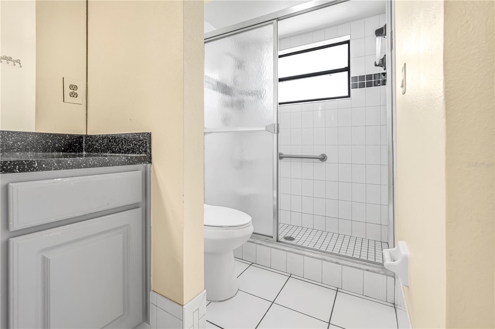 Master Bathroom Shower View