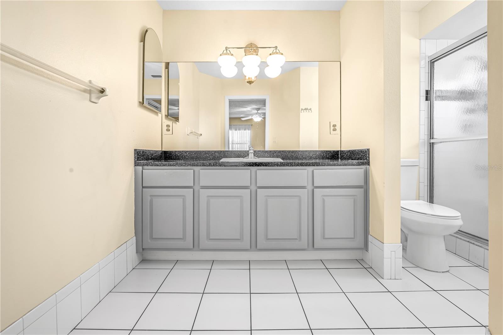 Master Bathroom Vanity