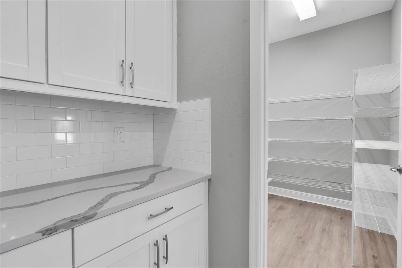 Butler's pantry and large walk in pantry