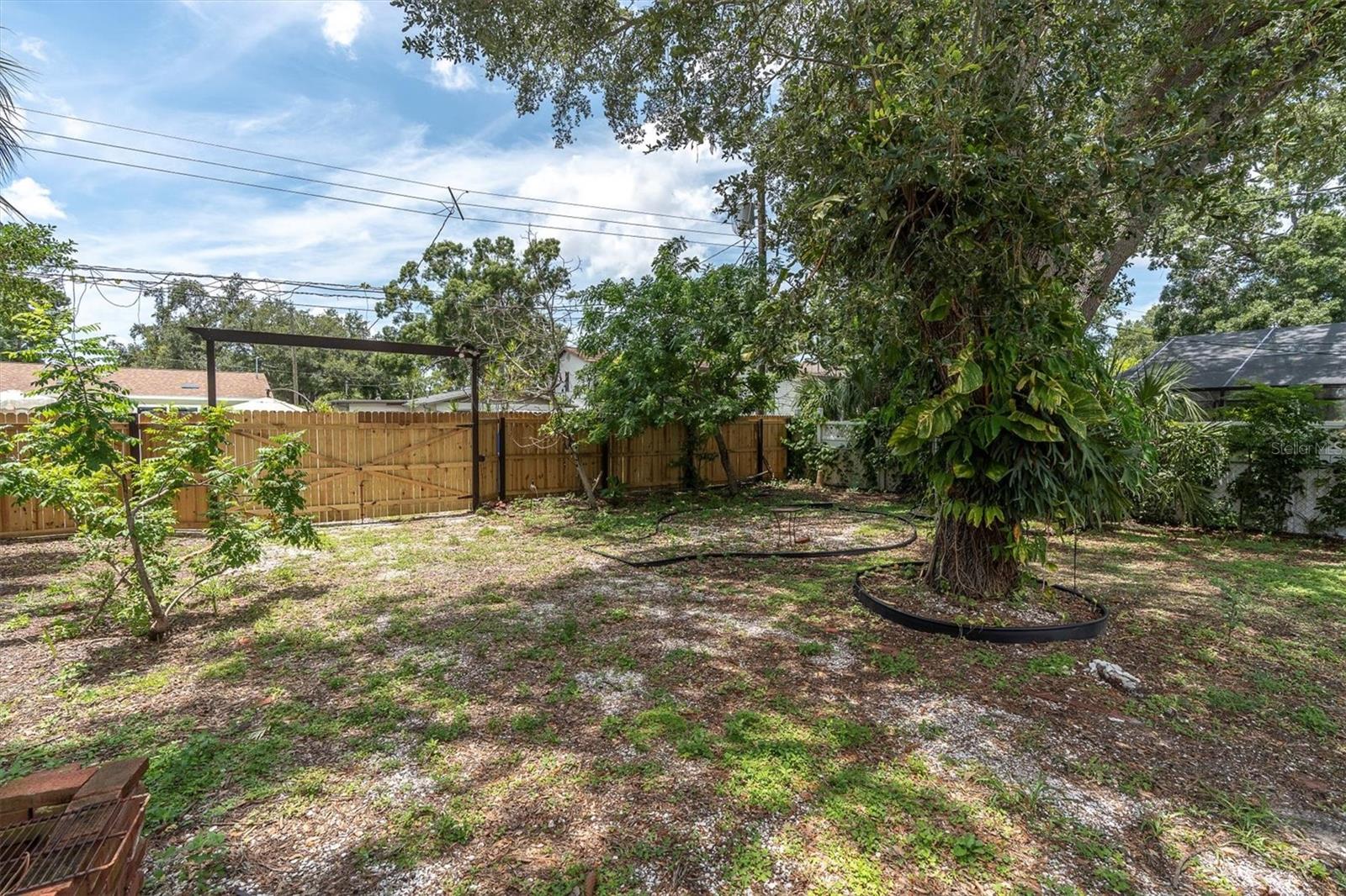 Backyard